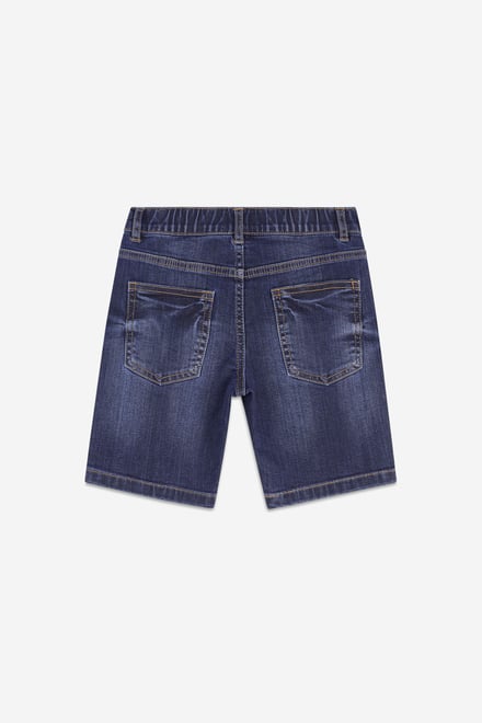 Boys Regular Fit Denim Shorts (3yrs-9yrs)