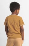 Boys Funny Bear Raglan T-shirt (3yrs-9yrs)