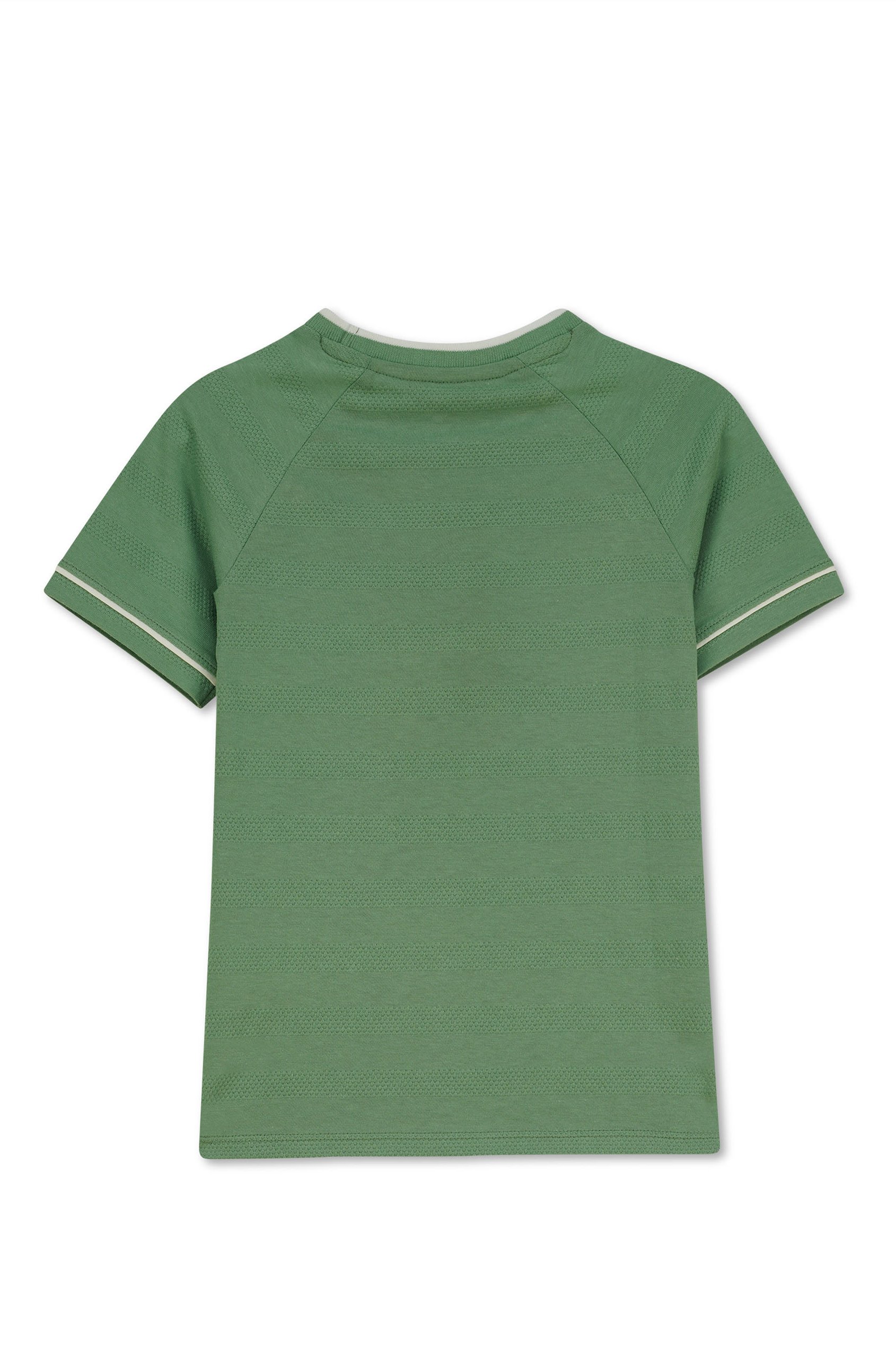 Boys Funny Bear Raglan T-shirt (3yrs-9yrs)