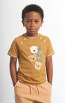 Boys Funny Bear Raglan T-shirt (3yrs-9yrs)