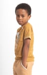 Boys Funny Bear Raglan T-shirt (3yrs-9yrs)