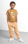 Boys Funny Bear Raglan T-shirt (3yrs-9yrs)