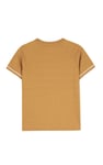 Boys Funny Bear Raglan T-shirt (3yrs-9yrs)