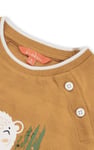 Boys Funny Bear Raglan T-shirt (3yrs-9yrs)