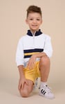 Boys Zip Up Colour Block Sweatshirt ( 6yrs-11yrs)
