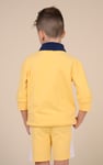 Boys Zip Up Colour Block Sweatshirt ( 6yrs-11yrs)