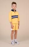 Boys Zip Up Colour Block Sweatshirt ( 6yrs-11yrs)