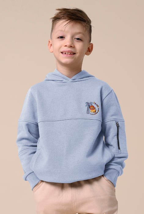 Boys Green  Embrodiery Print Hoodie  ( 6yrs-11yrs)