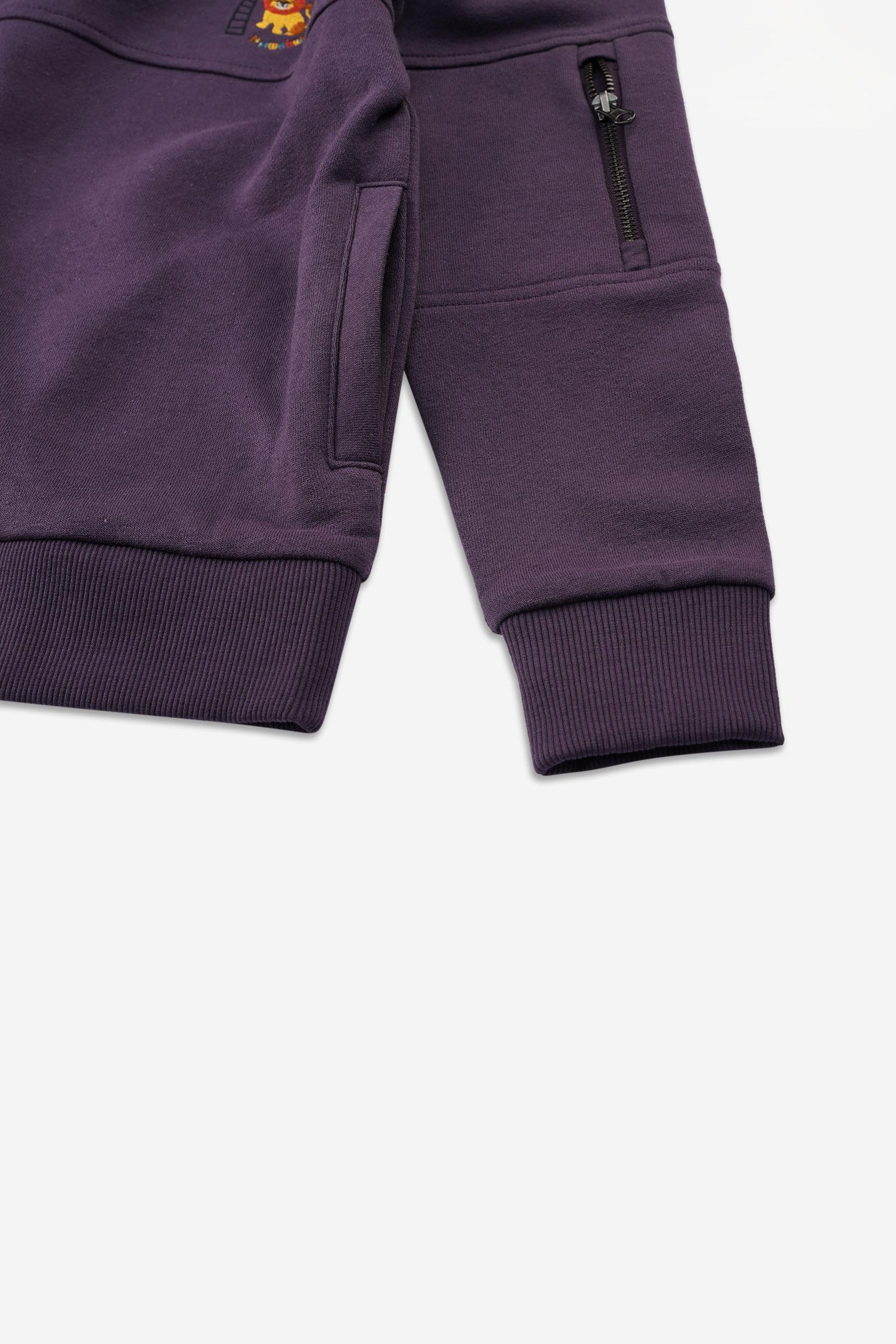 Boys  Embrodiery Print Hoodie  ( 6yrs-11yrs)