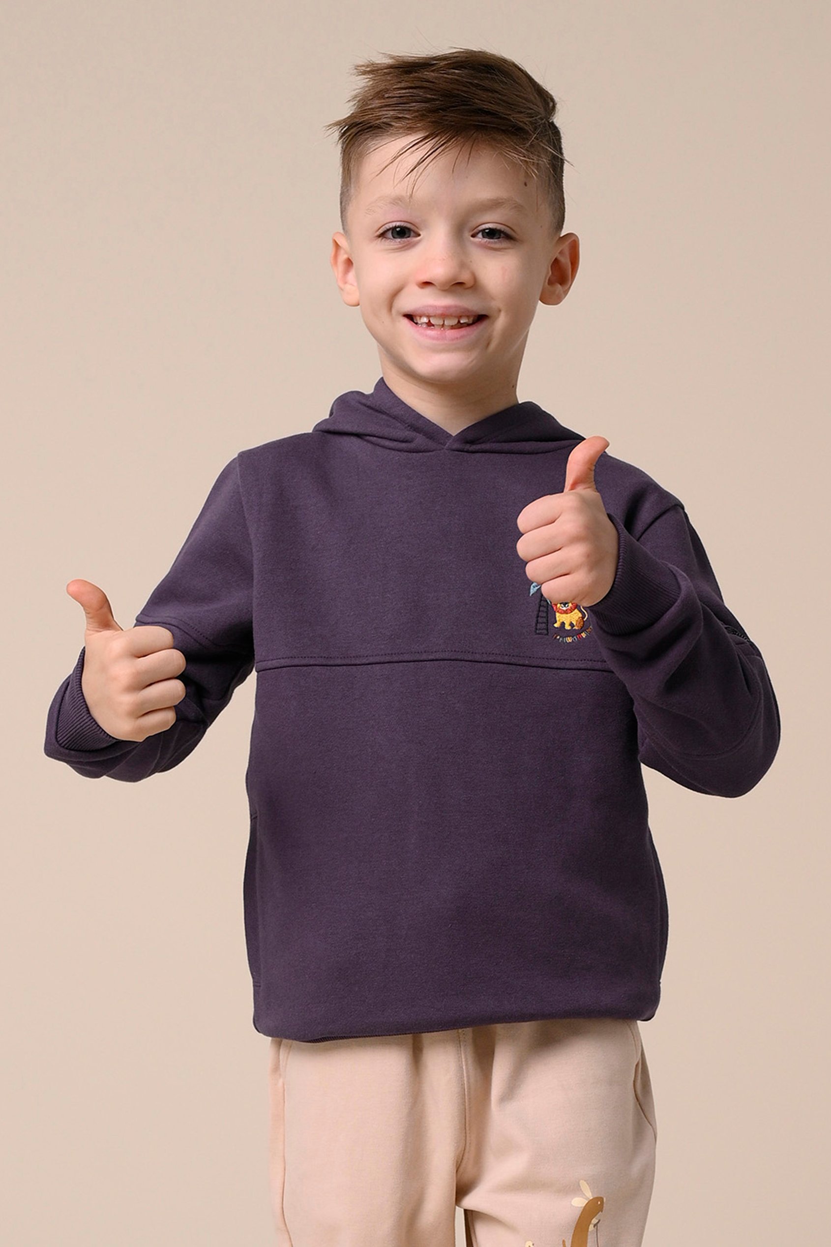 Boys  Embrodiery Print Hoodie  ( 6yrs-11yrs)