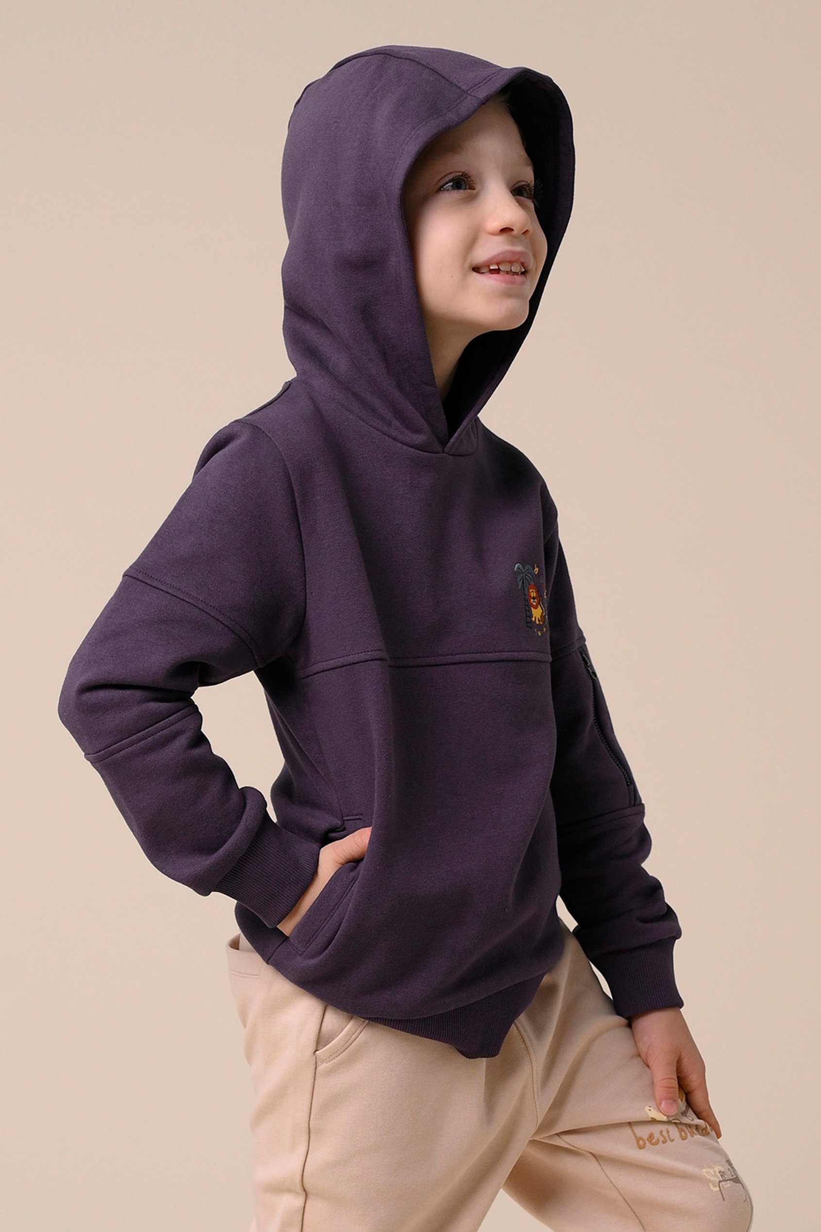 Boys  Embrodiery Print Hoodie  ( 6yrs-11yrs)