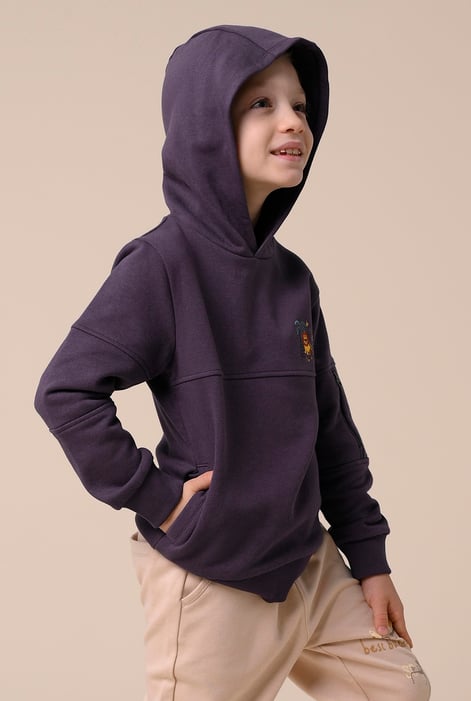 Boys Brown  Embrodiery Print Hoodie  ( 6yrs-11yrs)