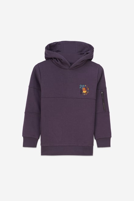 Boys  Embrodiery Print Hoodie  ( 6yrs-11yrs)