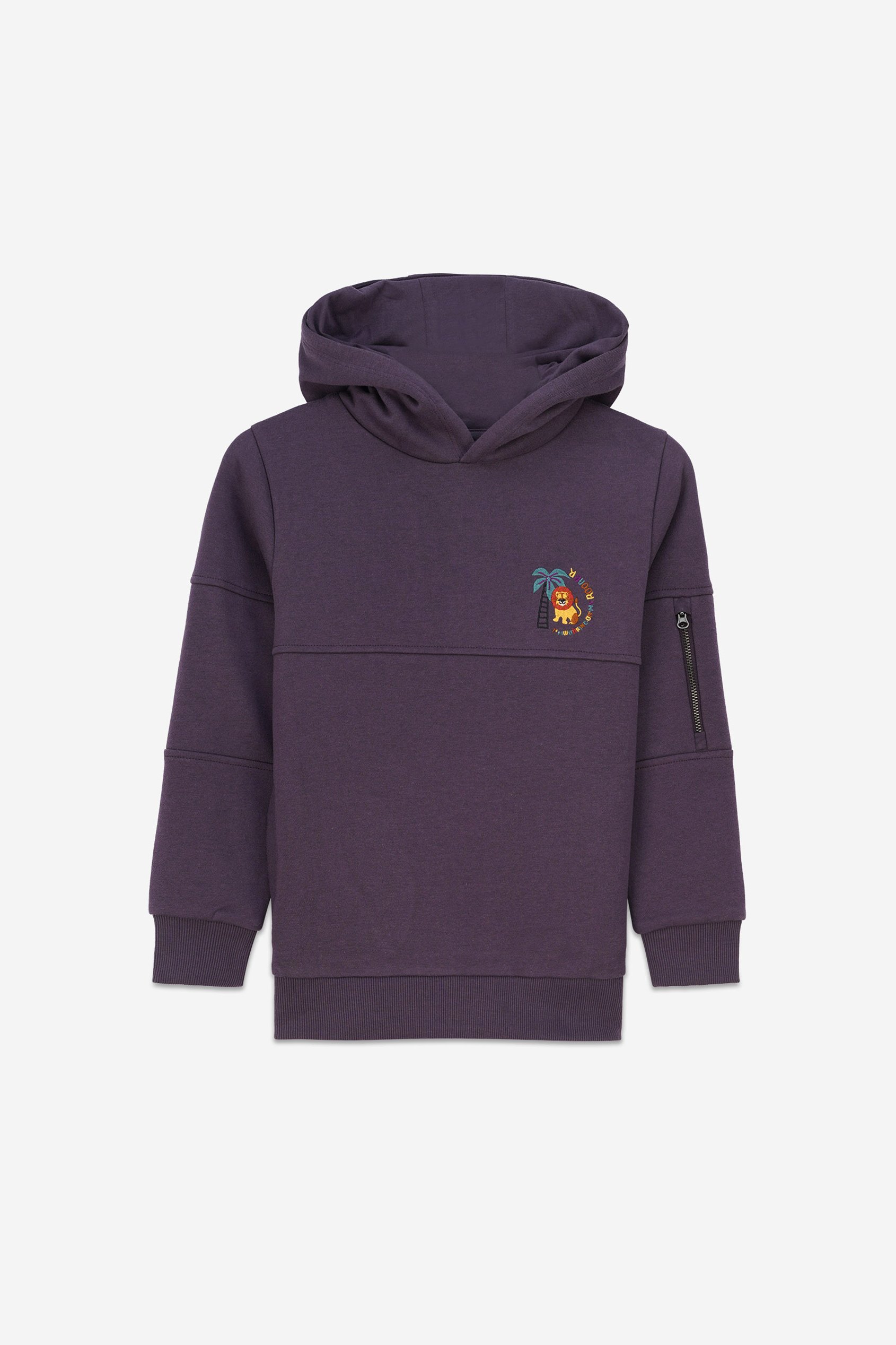 Boys  Embrodiery Print Hoodie  ( 6yrs-11yrs)