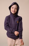 Boys  Embrodiery Print Hoodie  ( 6yrs-11yrs)