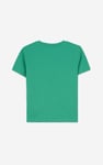 Boys Falls Flyers T-Shirt ( 3yrs-9yrs)