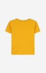 Boys Falls Flyers T-Shirt ( 3yrs-9yrs)