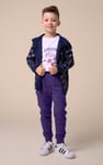 Boys Cut & Sew Jogger ( 6yrs-11yrs)