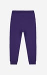 Boys Cut & Sew Jogger ( 6yrs-11yrs)