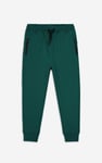 Boys Cut & Sew Jogger ( 6yrs-11yrs)