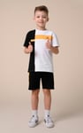 Boys Colour Block T-Shirt ( 3yrs-9yrs)