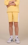 Boys Cut & Sew Shorts ( 6yrs-11yrs)