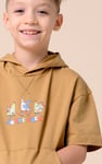 Boys Skate Crew Hoodie ( 3yrs-9yrs)