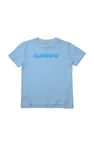 Crew Neck Shiny Printed T-Shirt