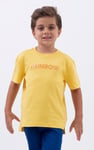 Crew Neck Shiny Printed T-Shirt
