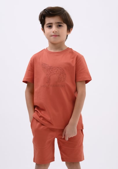 Boys Wolf Print T-shirt & Shorts Set (3yrs-9yrs)