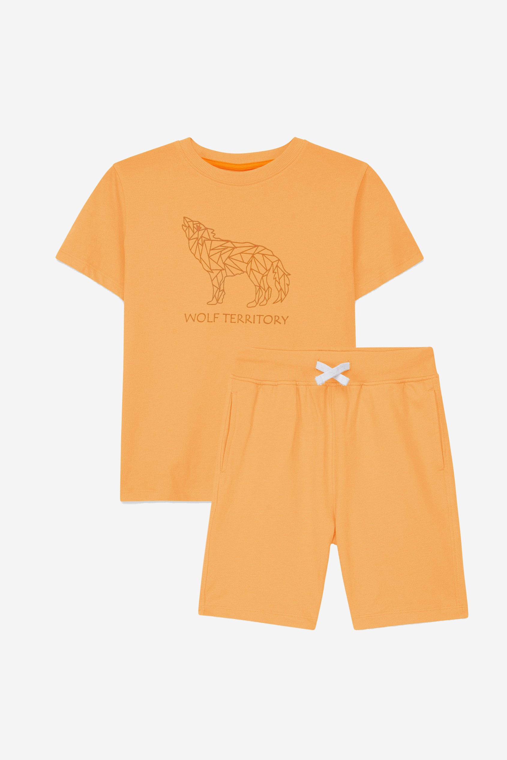 Boys Wolf Print T-shirt & Shorts Set (3yrs-9yrs)