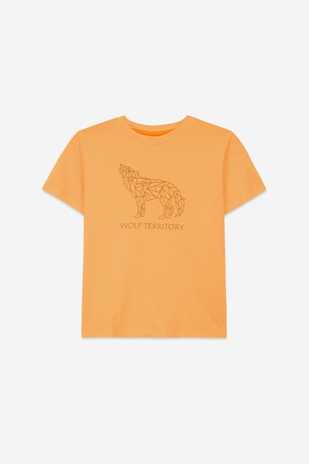 Boys Wolf Print T-shirt & Shorts Set (3yrs-9yrs)
