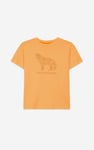 Boys Wolf Print T-shirt & Shorts Set (3yrs-9yrs)