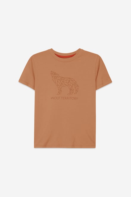 Boys Wolf Print T-shirt & Shorts Set (3yrs-9yrs)