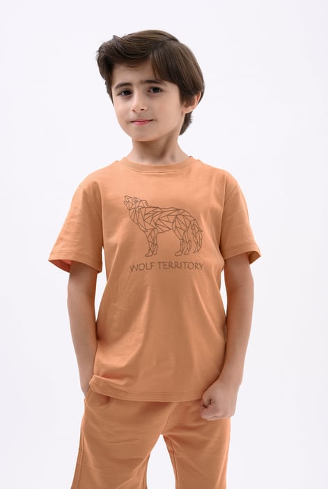 Boys Yellow Wolf Print T-shirt & Shorts Set (3yrs-9yrs)