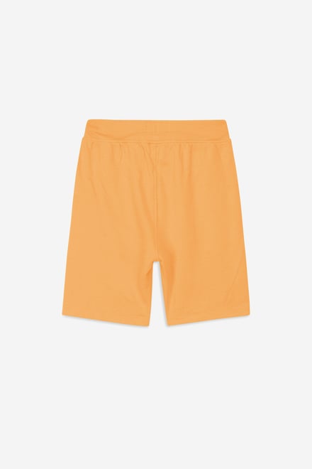Boys Wolf Print T-shirt & Shorts Set (3yrs-9yrs)