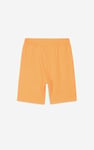 Boys Wolf Print T-shirt & Shorts Set (3yrs-9yrs)