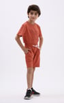 Boys Wolf Print T-shirt & Shorts Set (3yrs-9yrs)