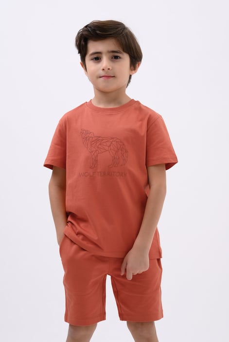 Boys Yellow Wolf Print T-shirt & Shorts Set (3yrs-9yrs)