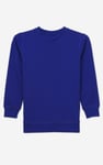 Joy To The World Printed Sweatshirt (3yrs-9yrs)