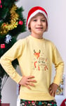 Joy To The World Printed Sweatshirt (3yrs-9yrs)