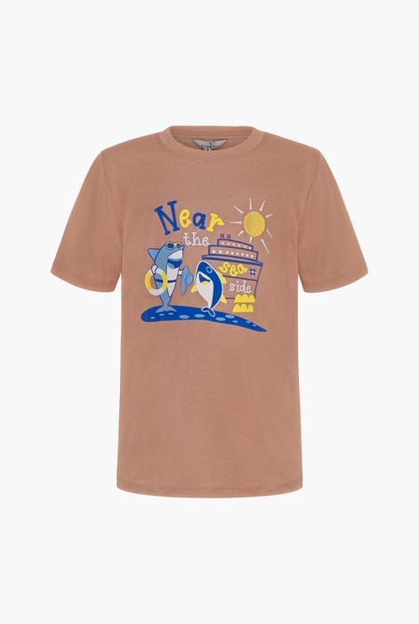 Boys Brown Graphic Short Sleeve T-Shirt ( 6yrs-11yrs)