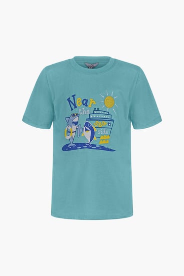 Boys Teal Graphic Short Sleeve T-Shirt