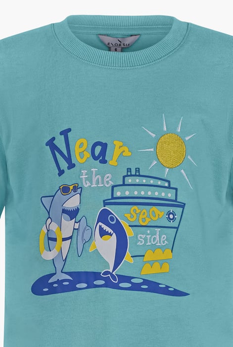 Boys Teal Graphic Short Sleeve T-Shirt ( 6yrs-11yrs)