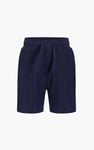 Boy's Casual textured Jersey Shorts (6yrs-11yrs)