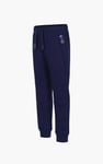 Boys Cold Cap Embalishment Jogger(6yrs-11yrs)