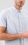 Stripe Short Sleeve Oxfrod Shirt