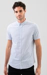 Stripe Short Sleeve Oxfrod Shirt