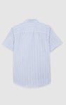 Stripe Short Sleeve Oxfrod Shirt