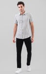 Smoke Stripe Kent Collar Short Sleeve Shirt